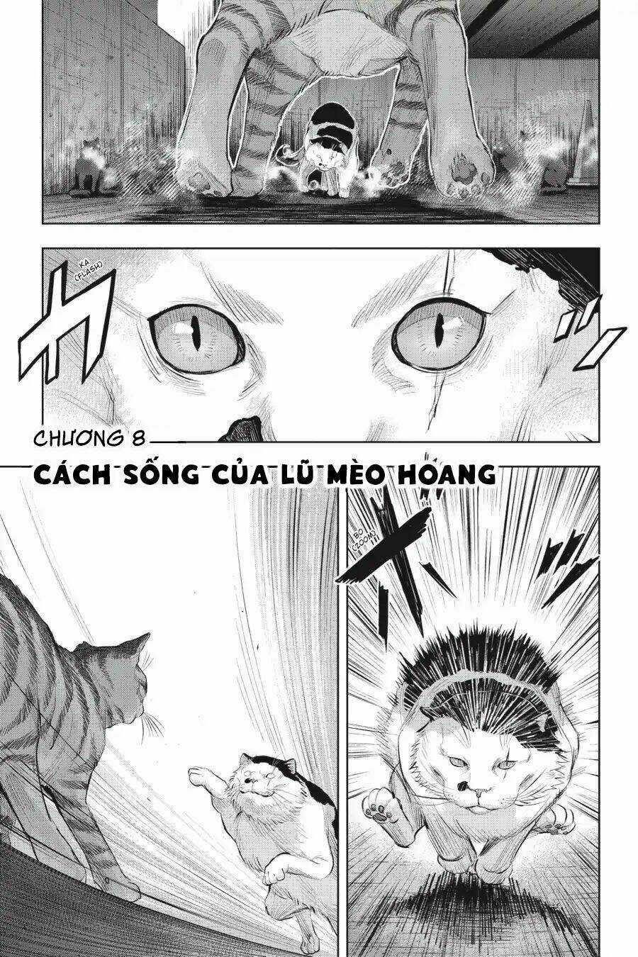 Nyankees - Chapter 8 - Trang 5