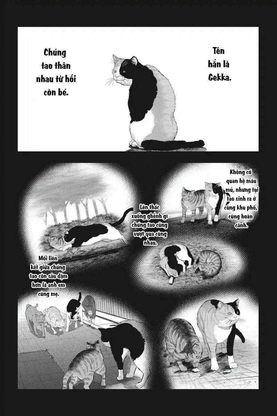 Nyankees - Chapter 9 - Trang 25