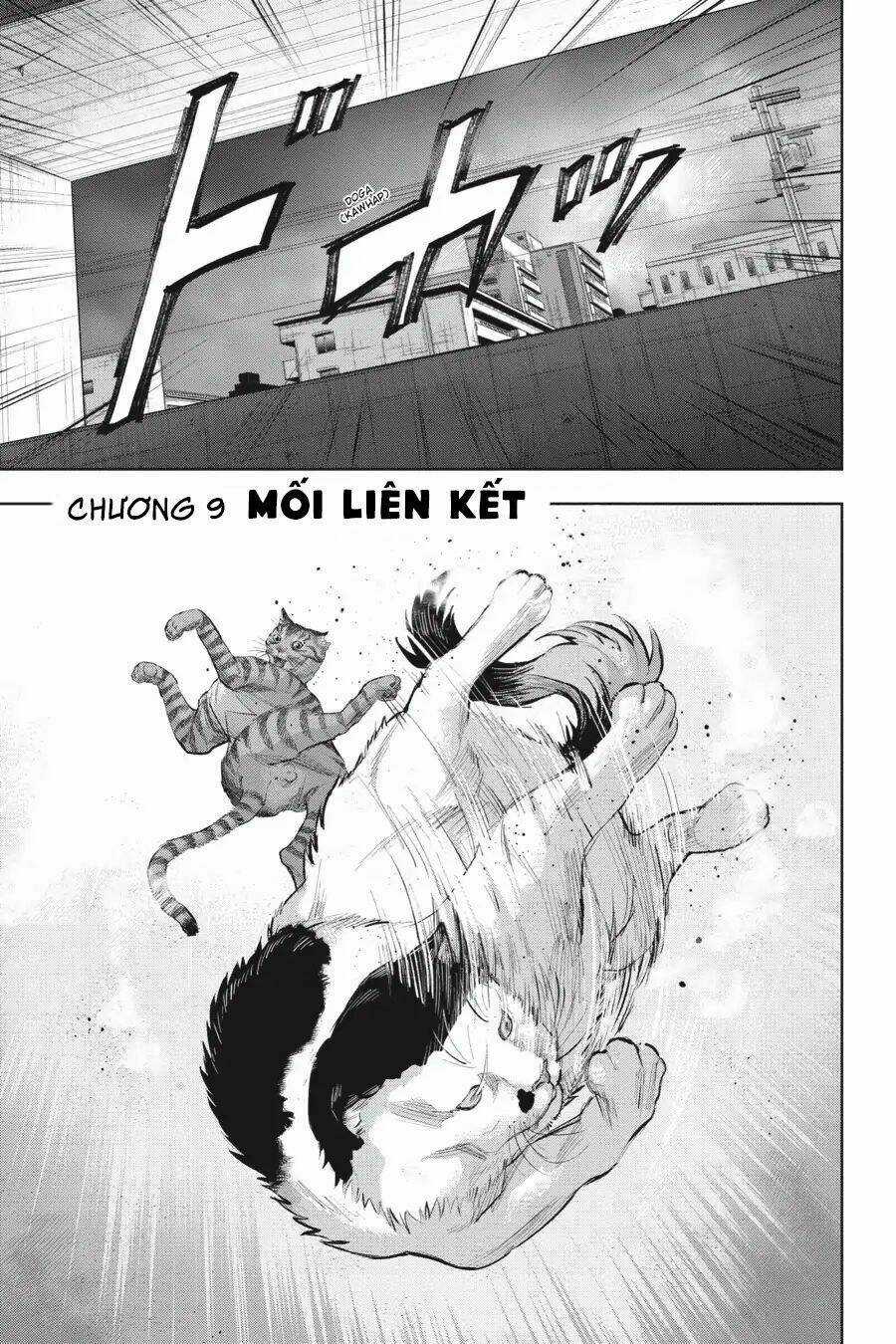 Nyankees - Chapter 9 - Trang 5