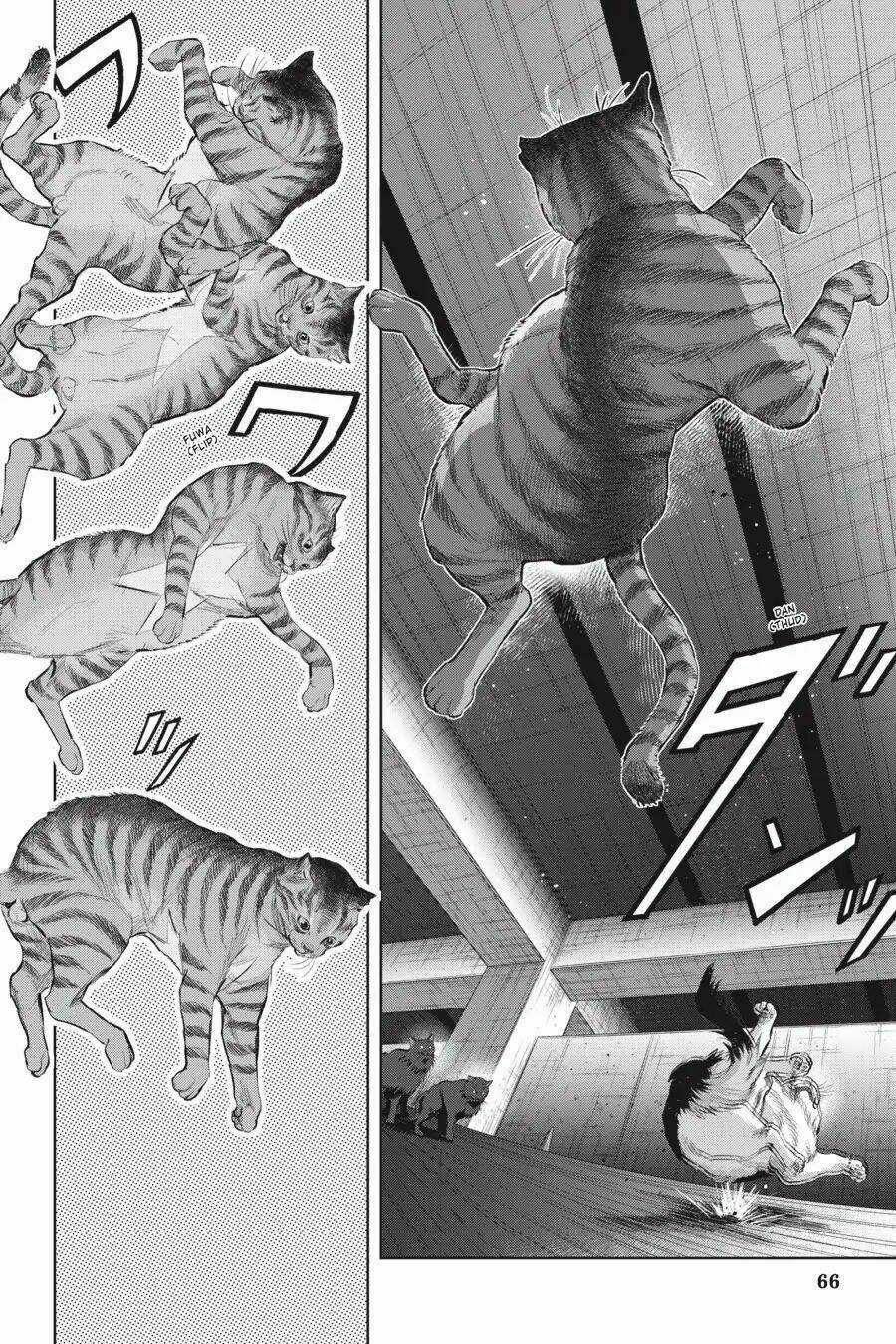 Nyankees - Chapter 9 - Trang 6