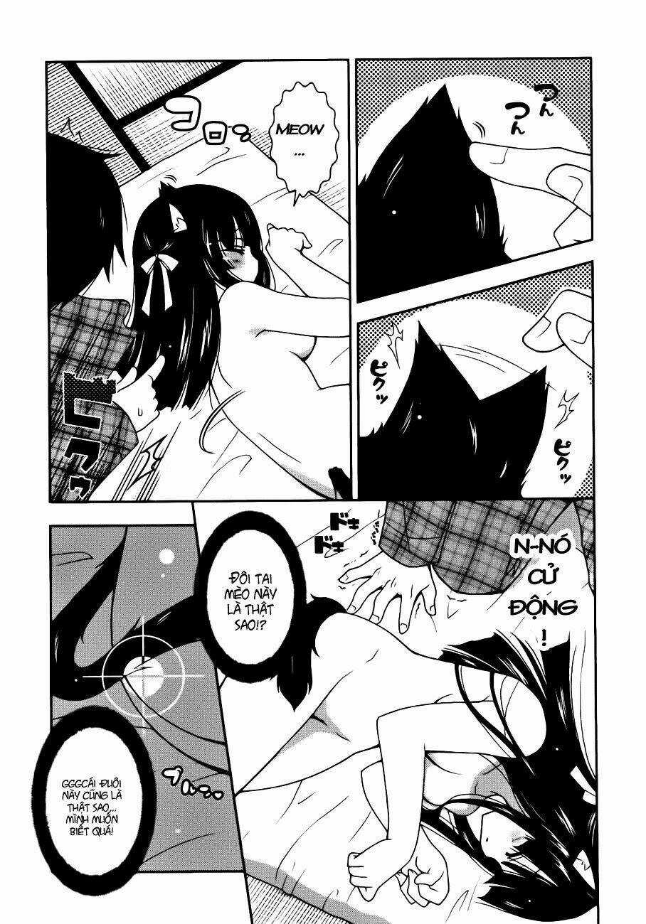 Nyatoo - Chapter 1 - Trang 11