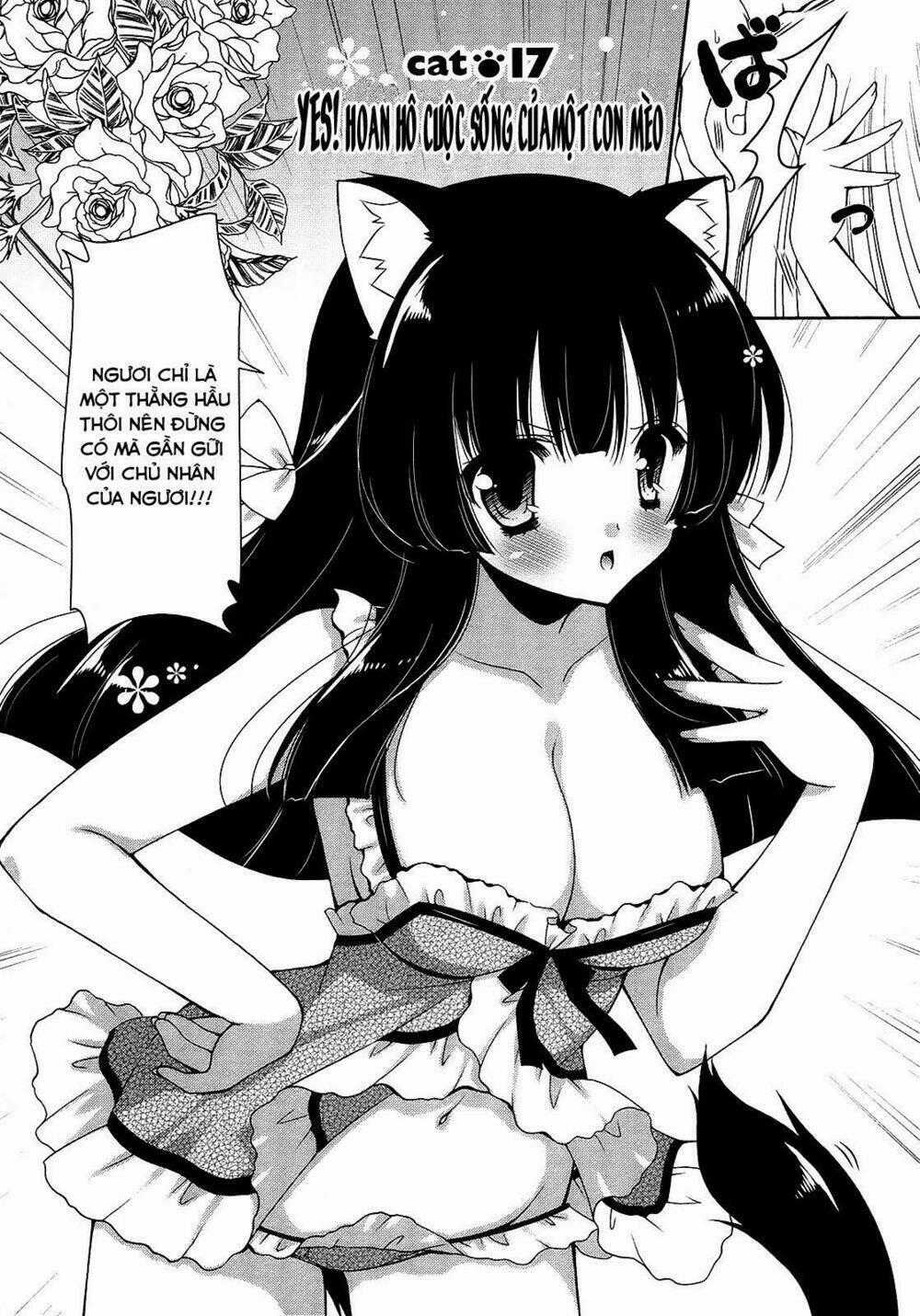 Nyatoo - Chapter 17 - Trang 2