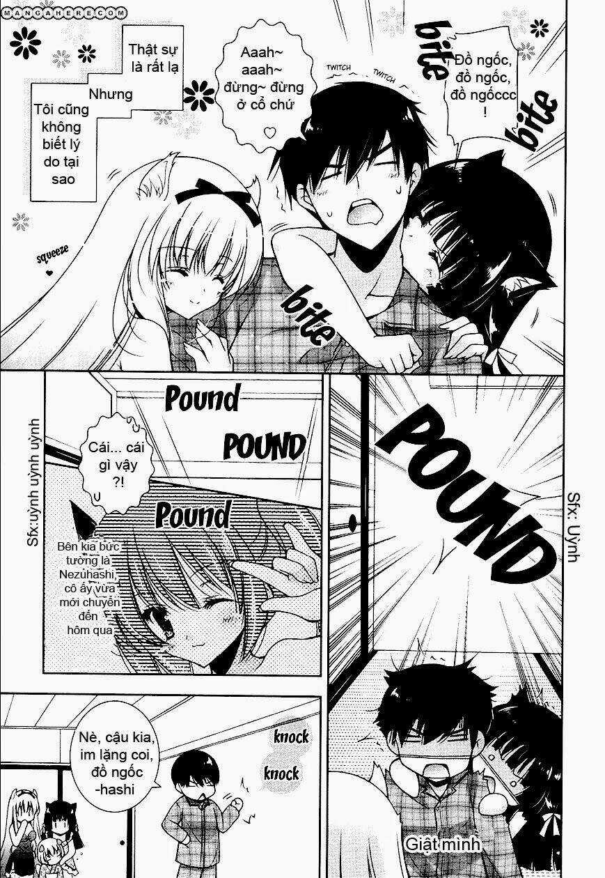 Nyatoo - Chapter 7 - Trang 13