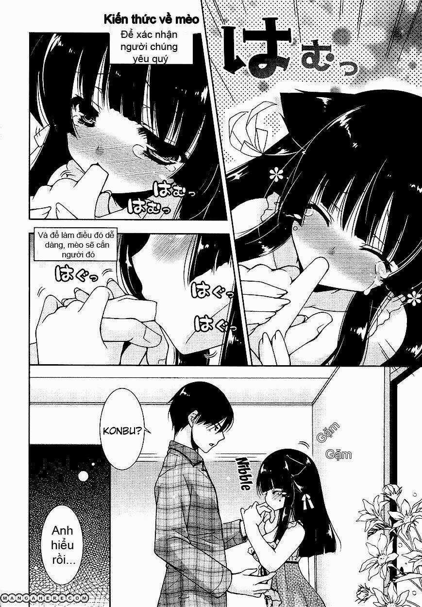 Nyatoo - Chapter 7 - Trang 33