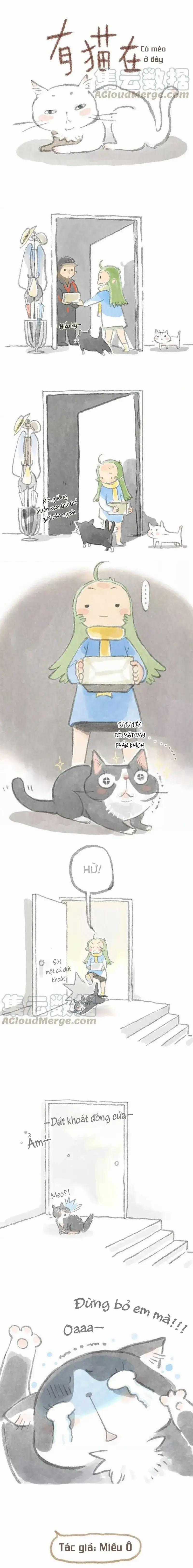 Ở Đây Có Mèo - Chương 4 - Trang 3