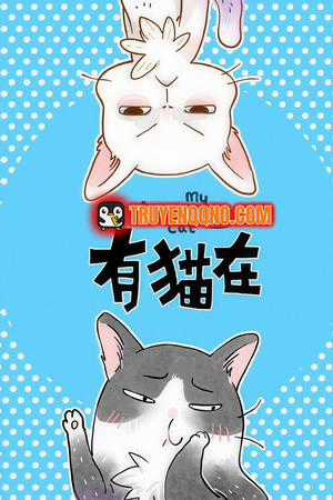 Đọc truyện Ở Đây Có Mèo