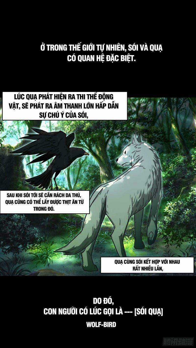 Ô Nha - Chapter 120 - Trang 5