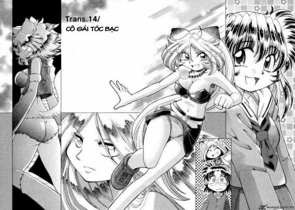 Okitsune-Sama Dechu - Chapter 14 - Trang 8