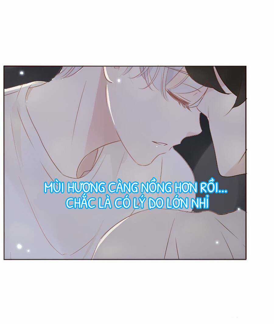 Ôm Hôn Mạc Nhiên - Chapter 14 - Trang 4