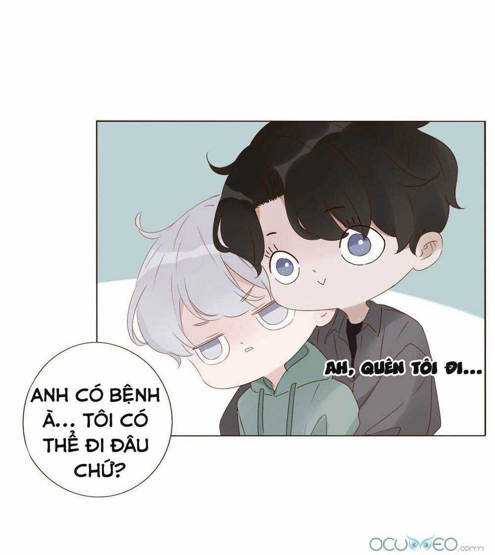 Ôm Hôn Mạc Nhiên - Chapter 19 - Trang 14