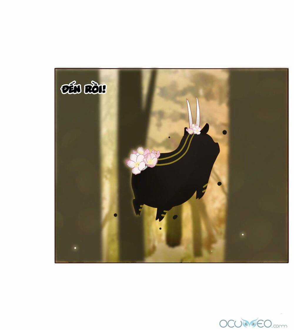 Ôm Hôn Mạc Nhiên - Chapter 19 - Trang 16