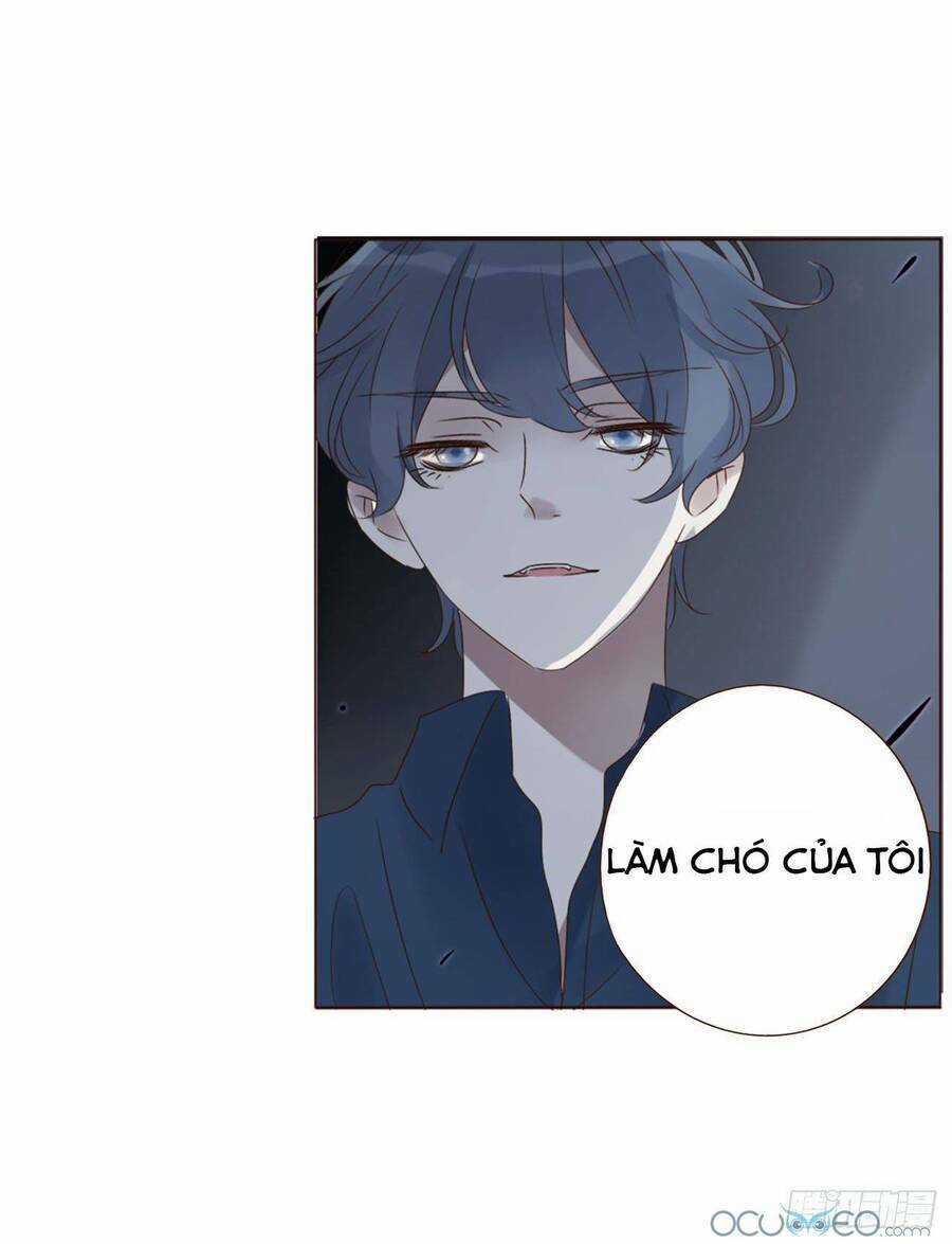 Ôm Hôn Mạc Nhiên - Chapter 20 - Trang 17