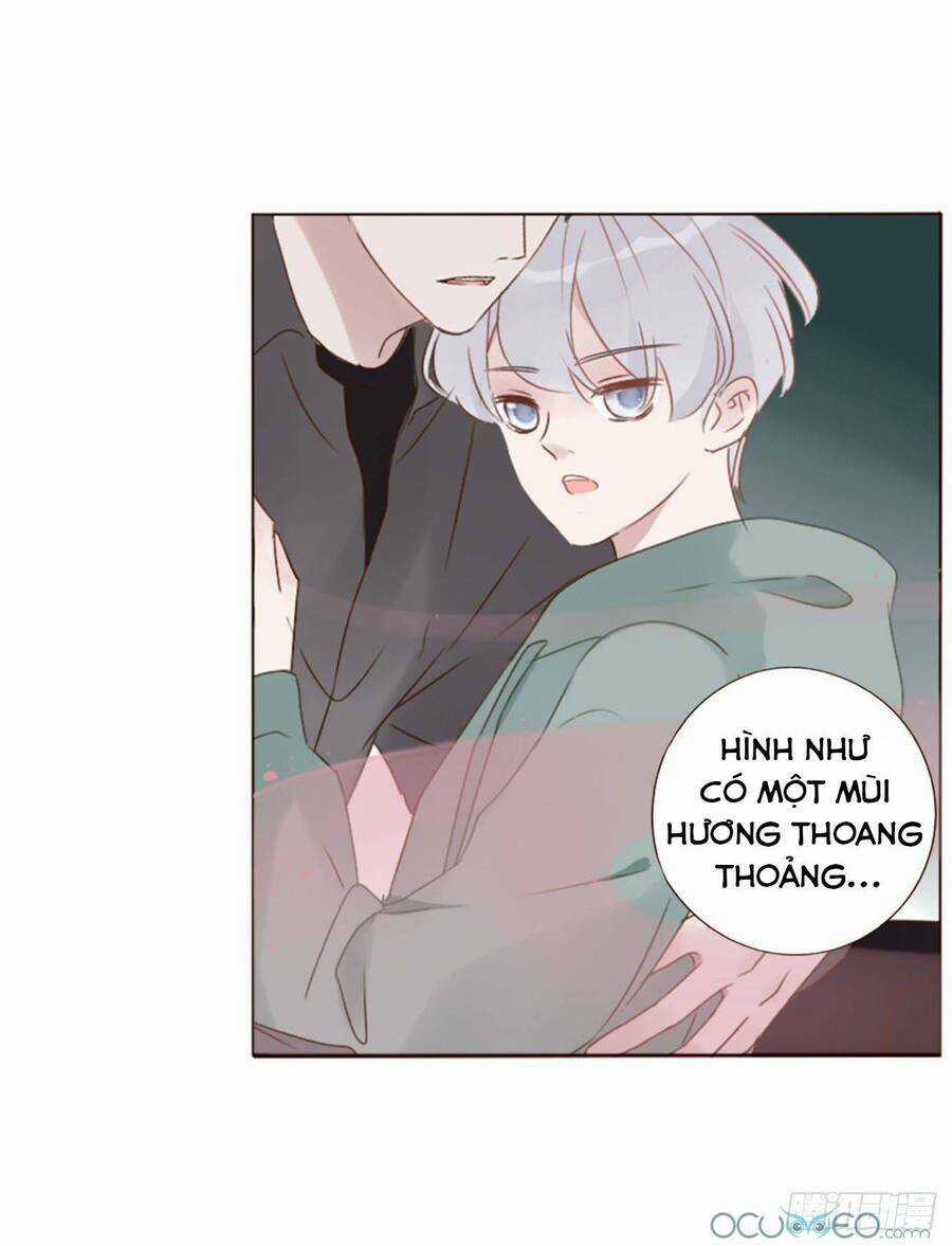 Ôm Hôn Mạc Nhiên - Chapter 21 - Trang 13