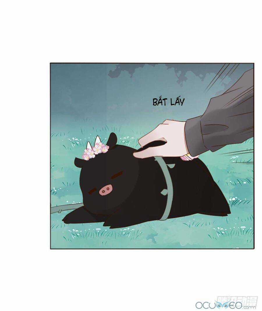 Ôm Hôn Mạc Nhiên - Chapter 21 - Trang 15