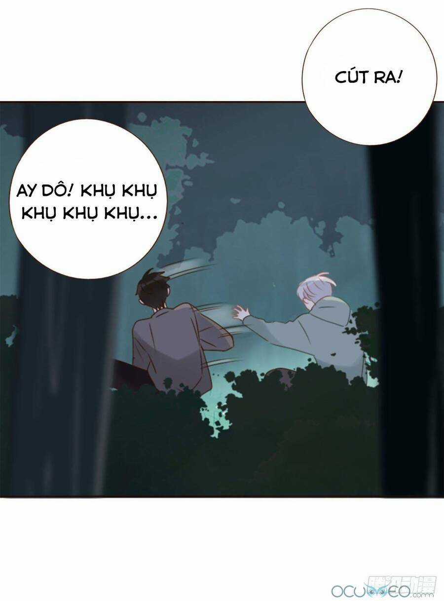 Ôm Hôn Mạc Nhiên - Chapter 21 - Trang 3