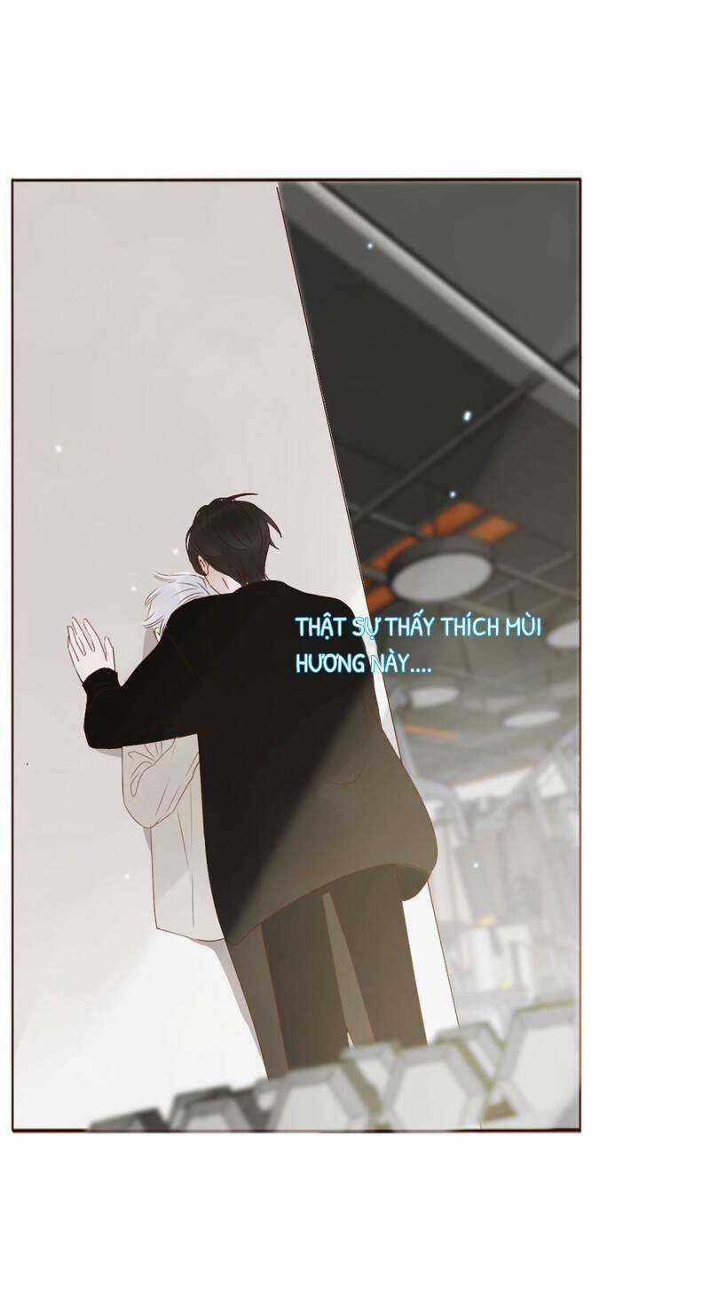 Ôm Hôn Mạc Nhiên - Chapter 8 - Trang 22