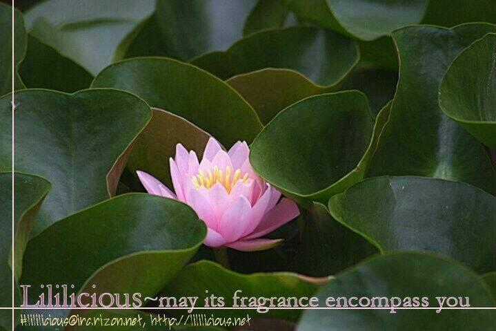 Omoi No Kakera - Chapter 1 - Trang 33