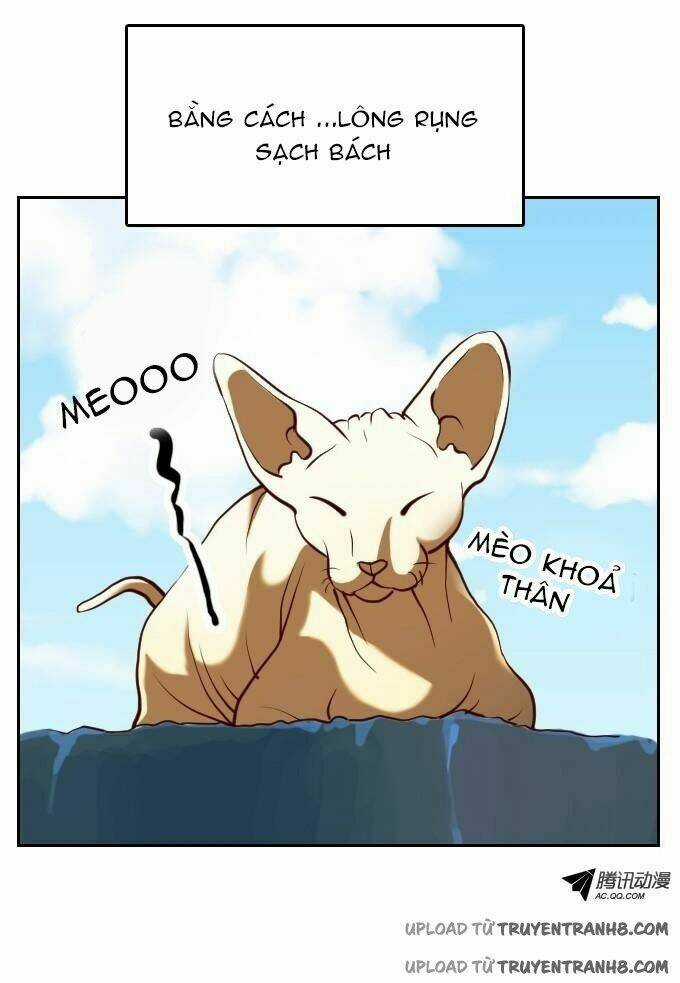 Ớn Lạnh Tuyệt Đối - Chapter 21 - Trang 20