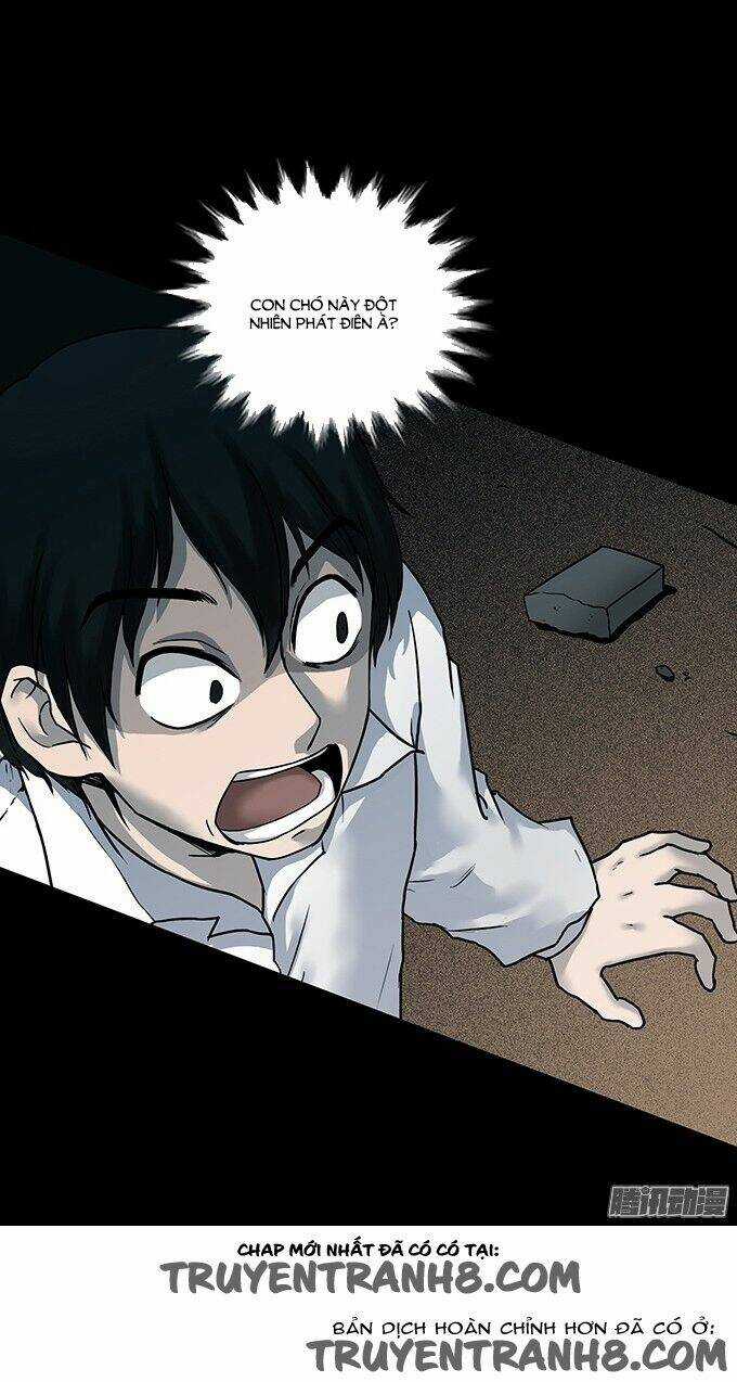 Ớn Lạnh Tuyệt Đối - Chapter 96 - Trang 21