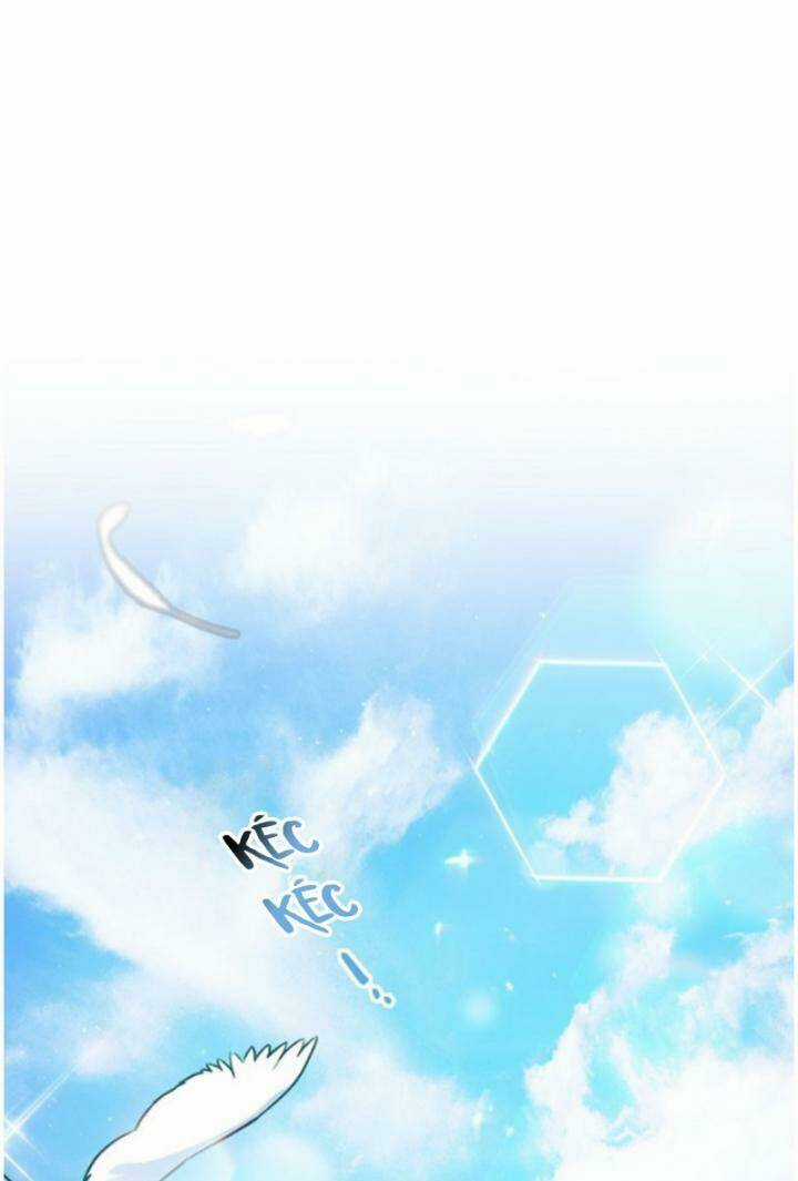 One Pair Lady - Chapter 6 - Trang 19