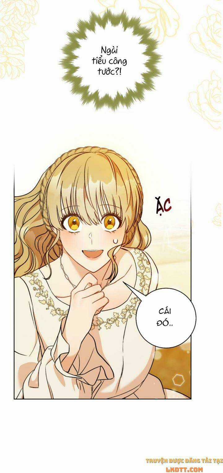 One Pair Lady - Chapter 8 - Trang 4