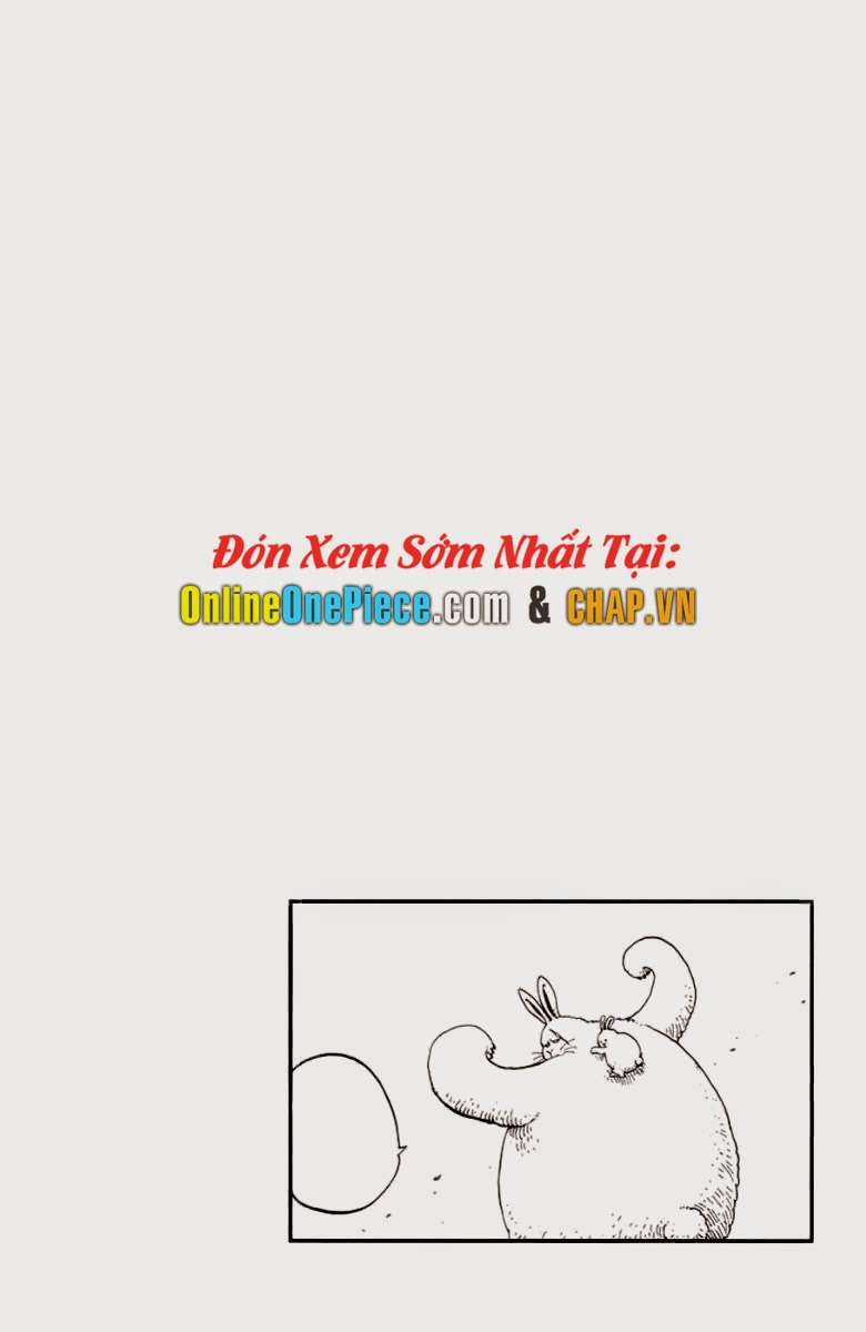 One Piece Color - Chapter 137 - Trang 5