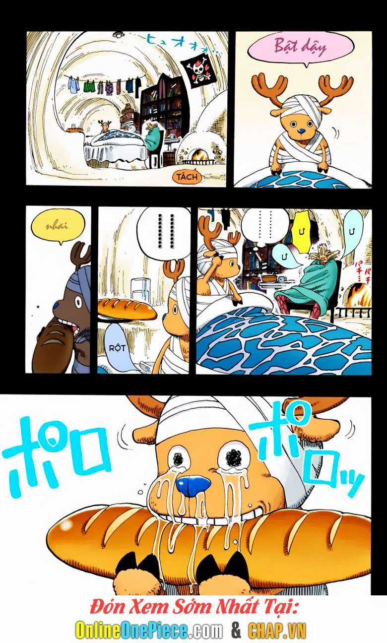 One Piece Color - Chapter 141 - Trang 23