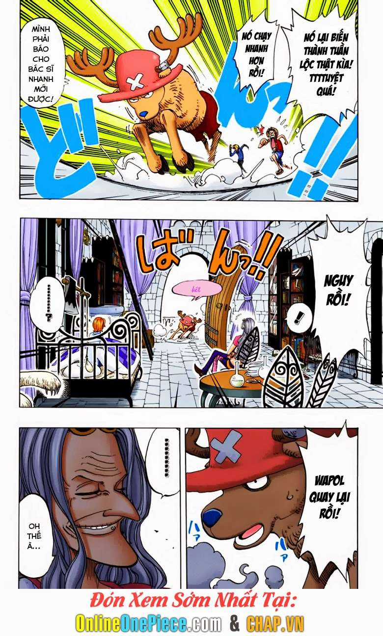 One Piece Color - Chapter 141 - Trang 8