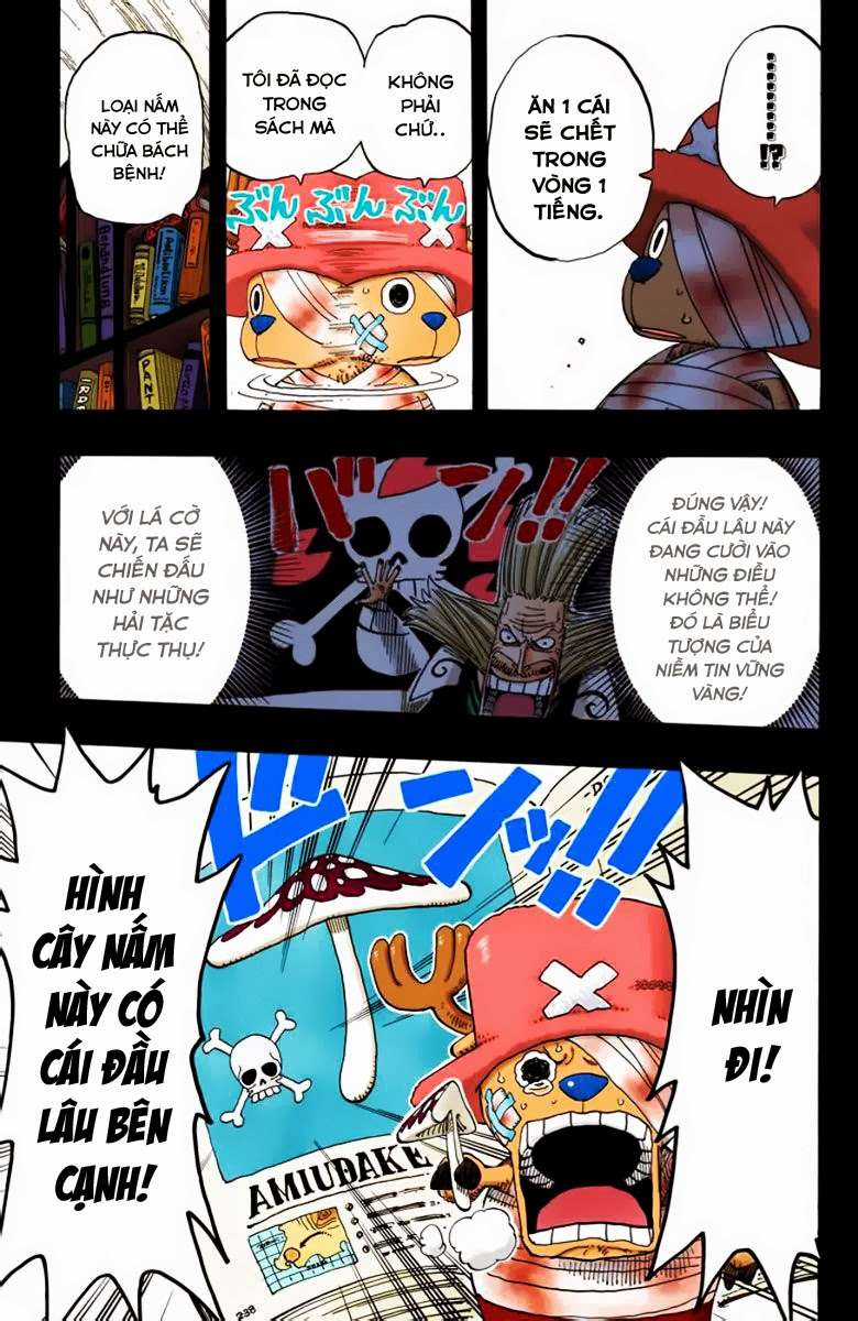 One Piece Color - Chapter 144 - Trang 18