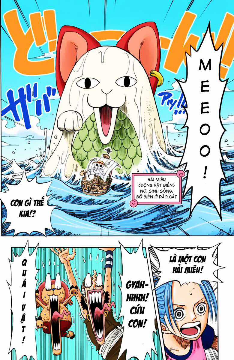 One Piece Color - Chapter 157 - Trang 4