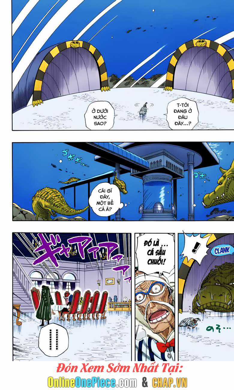 One Piece Color - Chapter 166 - Trang 11