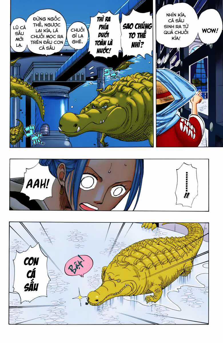 One Piece Color - Chapter 173 - Trang 4