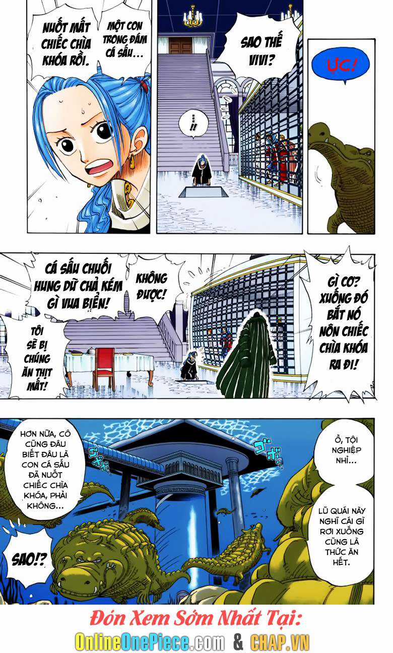 One Piece Color - Chapter 173 - Trang 5