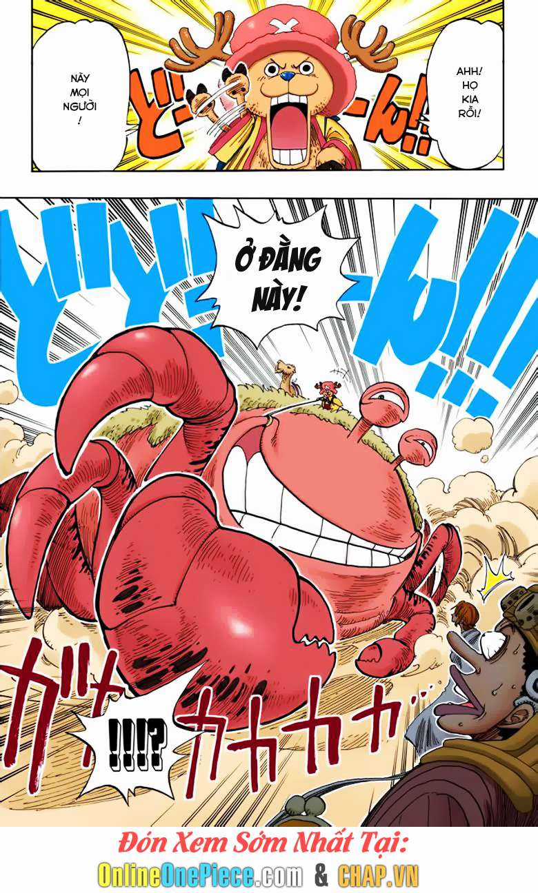 One Piece Color - Chapter 176 - Trang 16