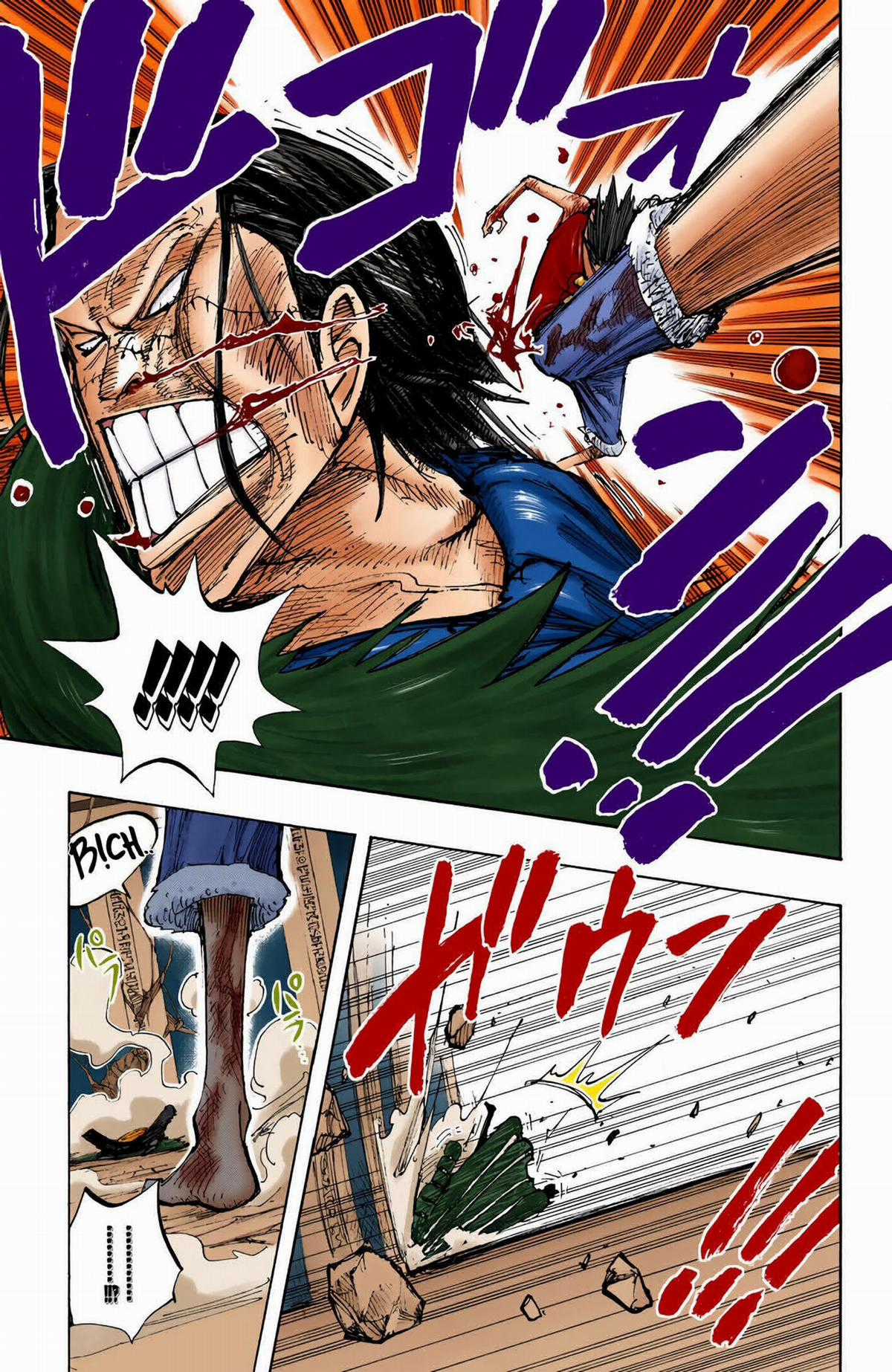 One Piece Color - Chapter 204 - Trang 11