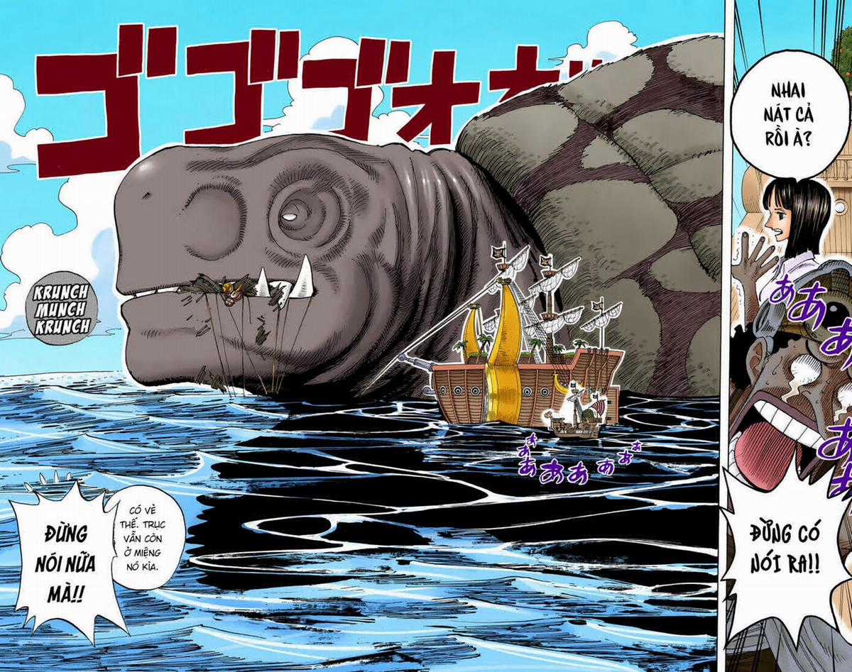 One Piece Color - Chapter 221 - Trang 4
