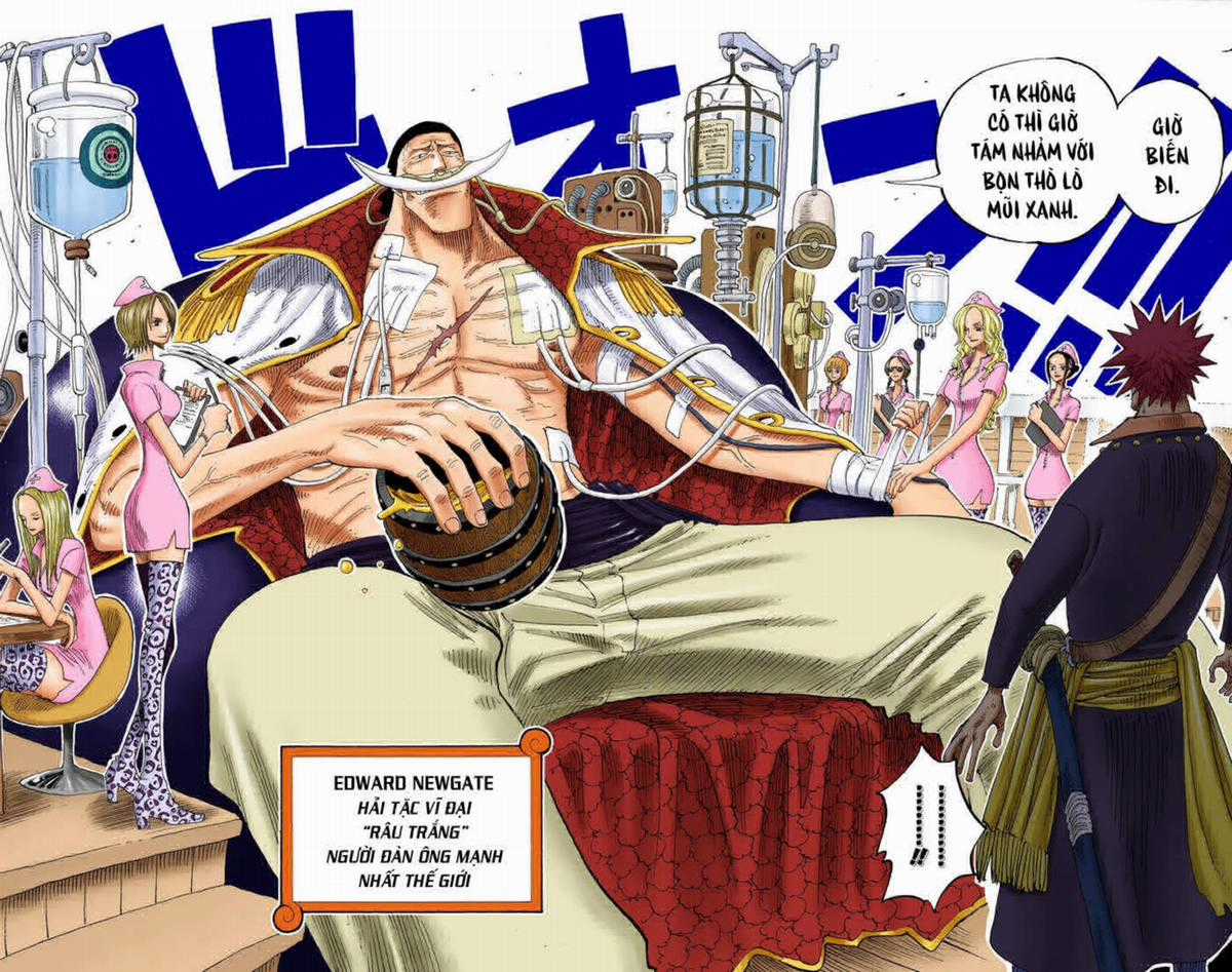 One Piece Color - Chapter 234 - Trang 12