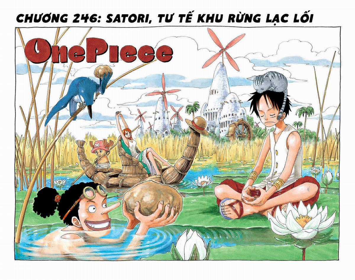One Piece Color - Chapter 246 - Trang 1