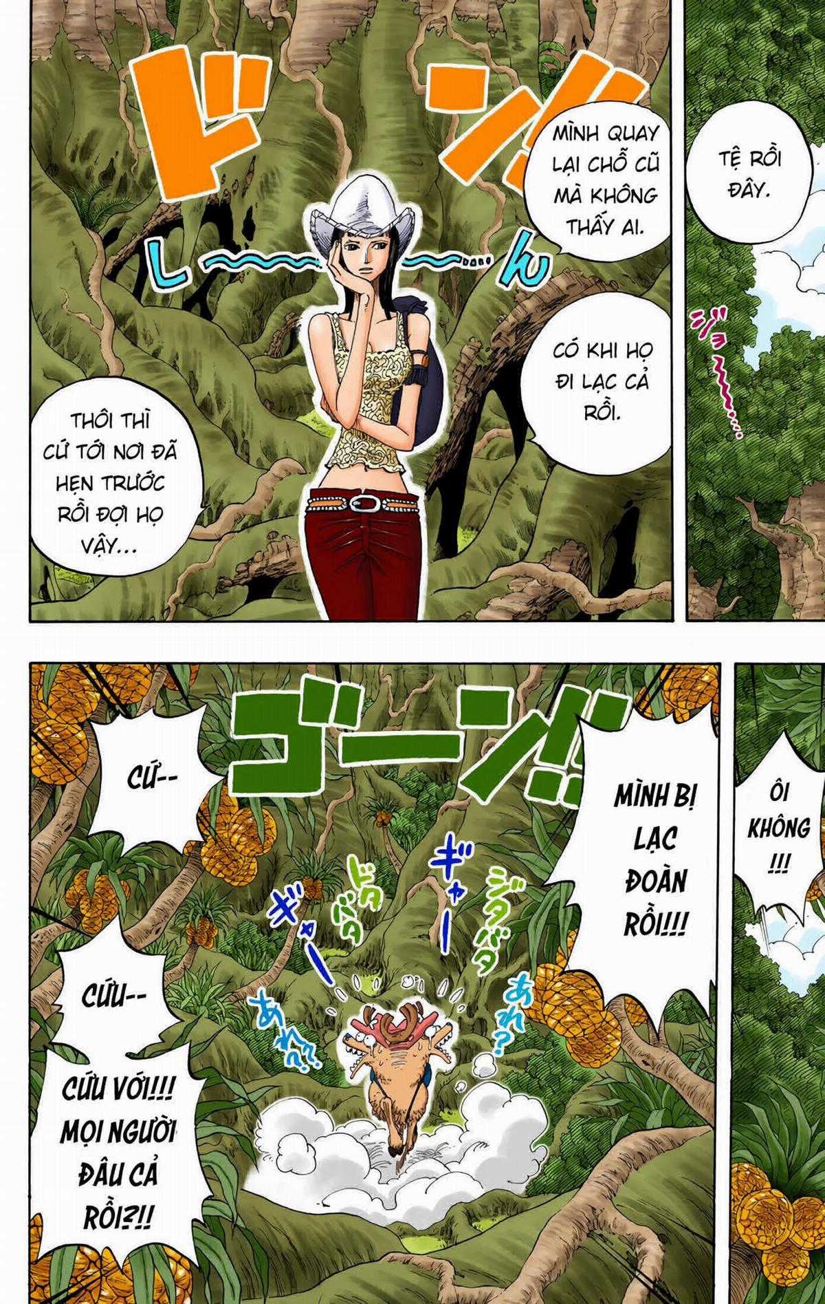 One Piece Color - Chapter 255 - Trang 18