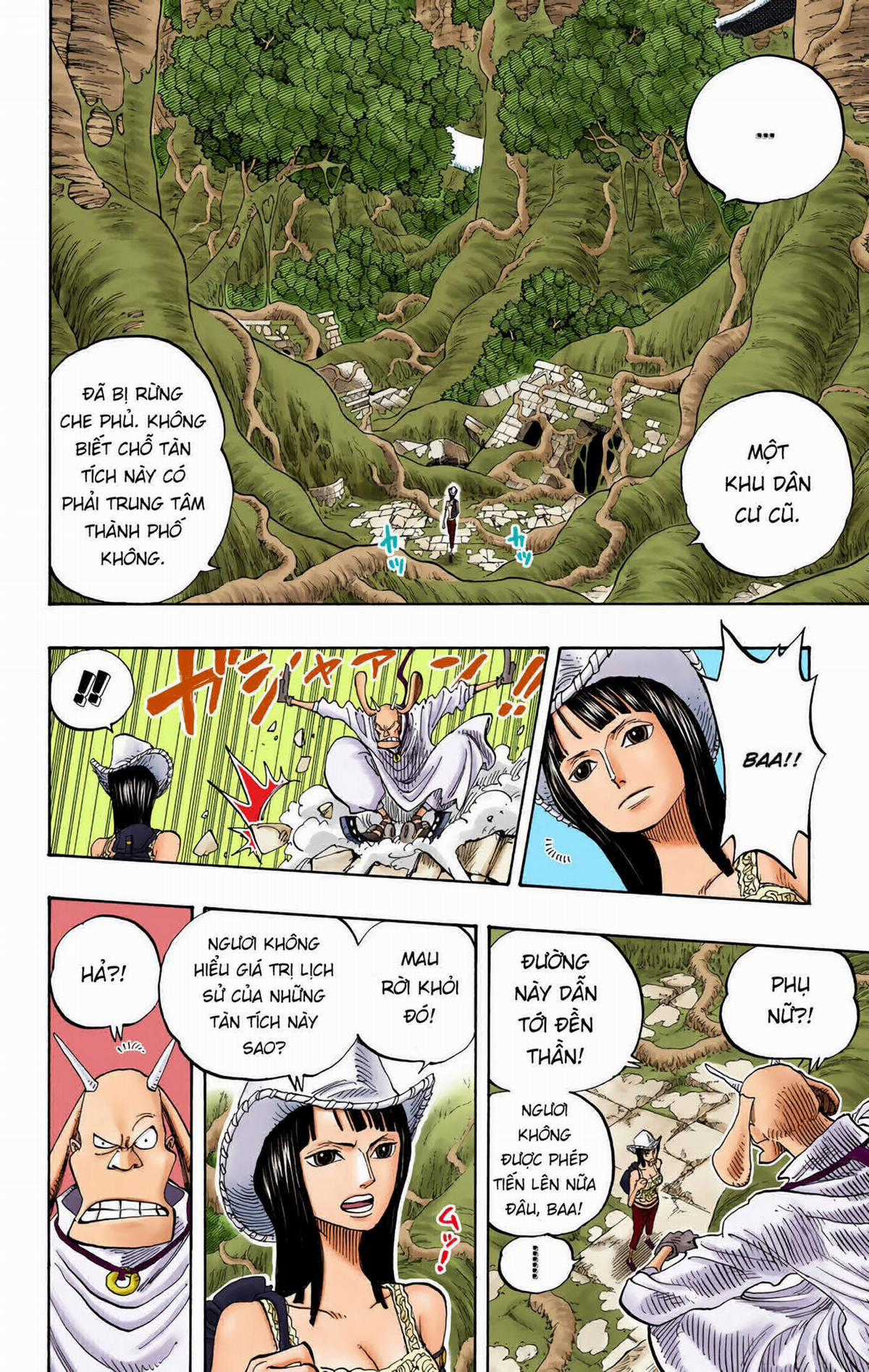 One Piece Color - Chapter 258 - Trang 8