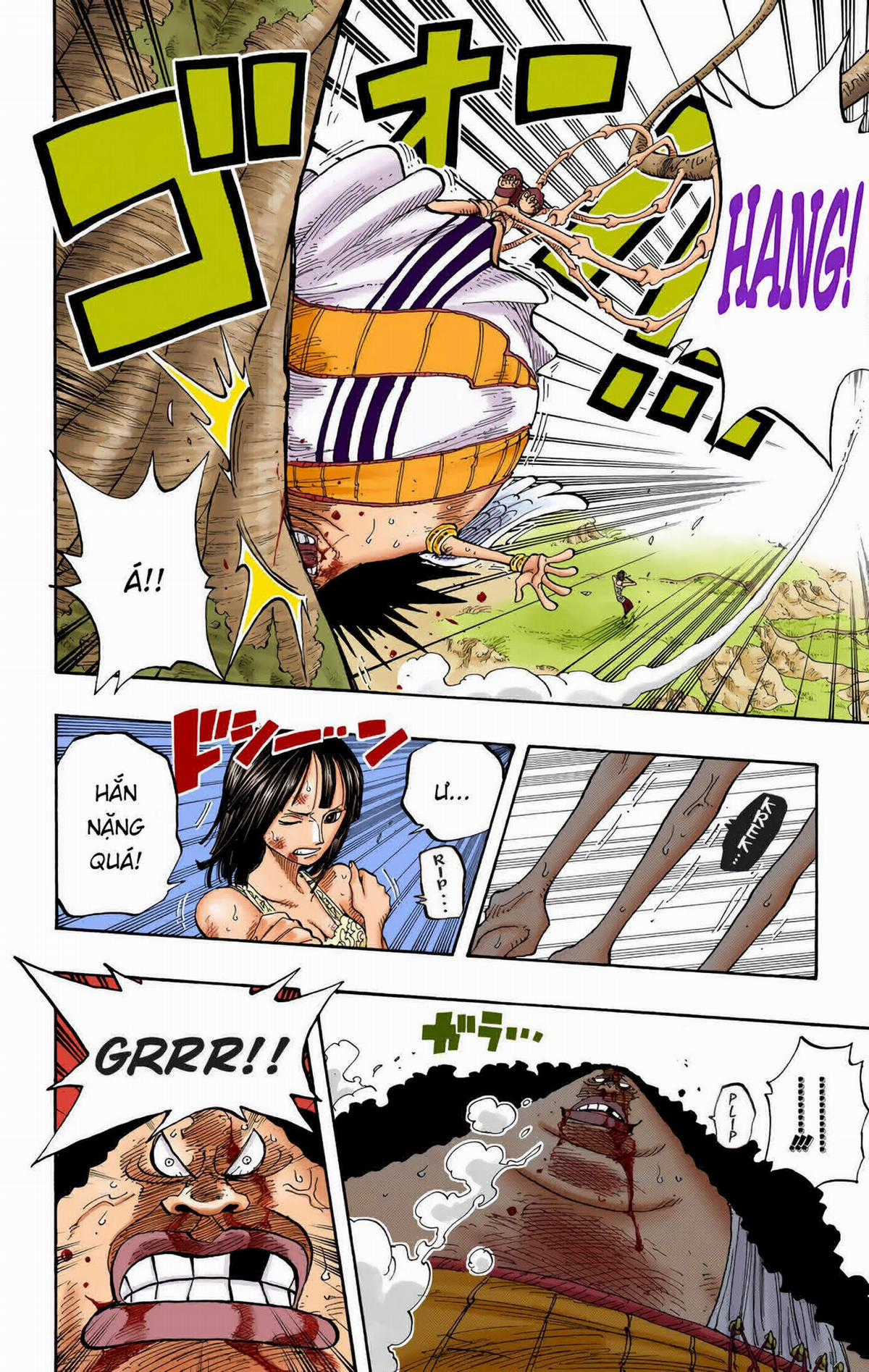 One Piece Color - Chapter 265 - Trang 17