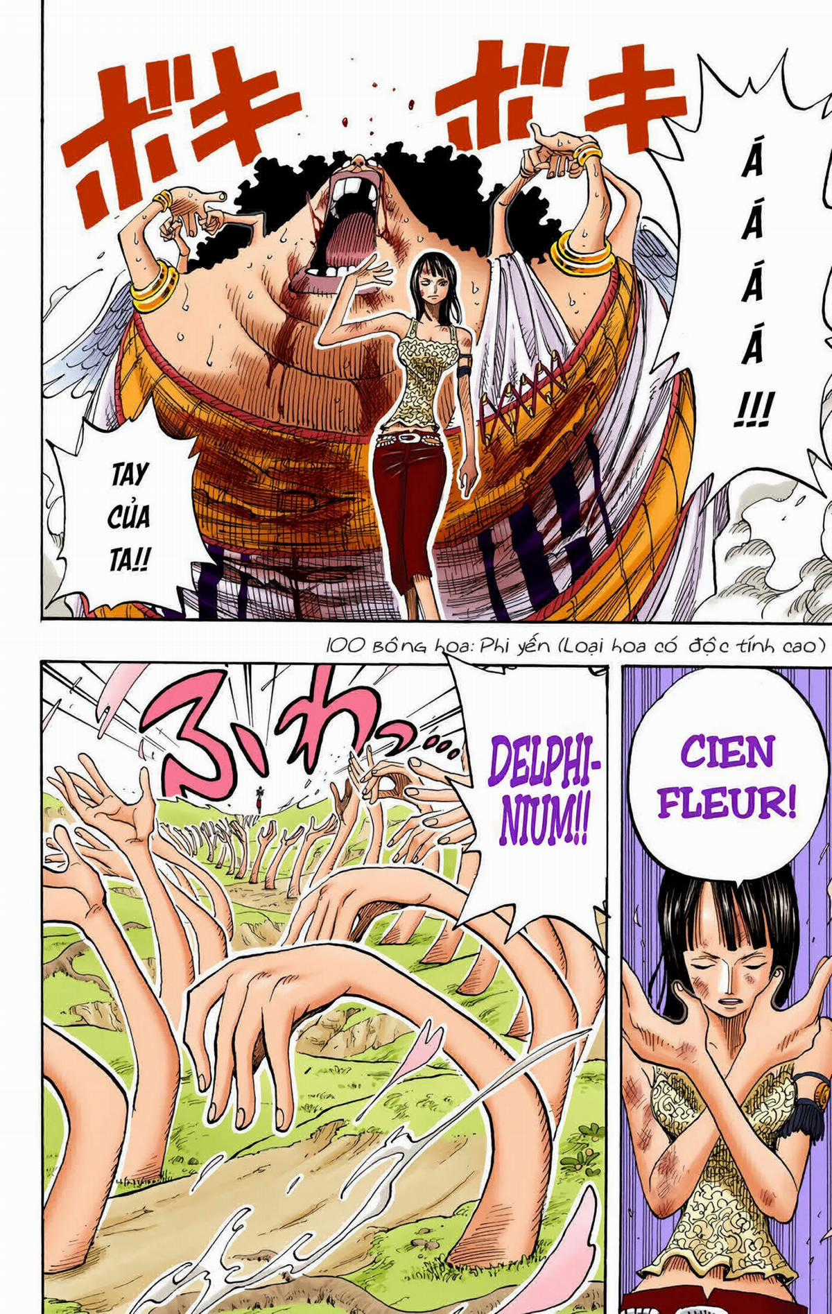 One Piece Color - Chapter 265 - Trang 21