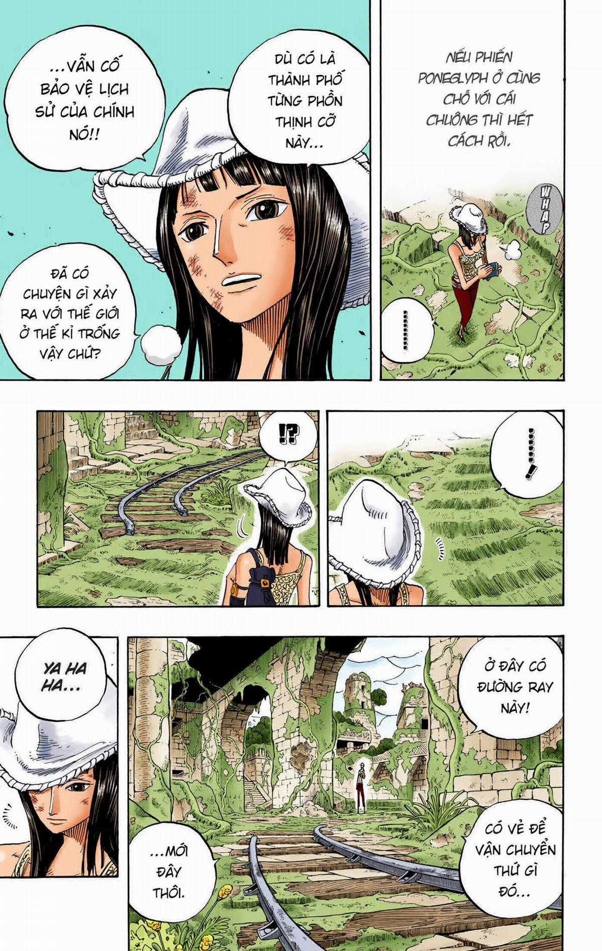 One Piece Color - Chapter 272 - Trang 5