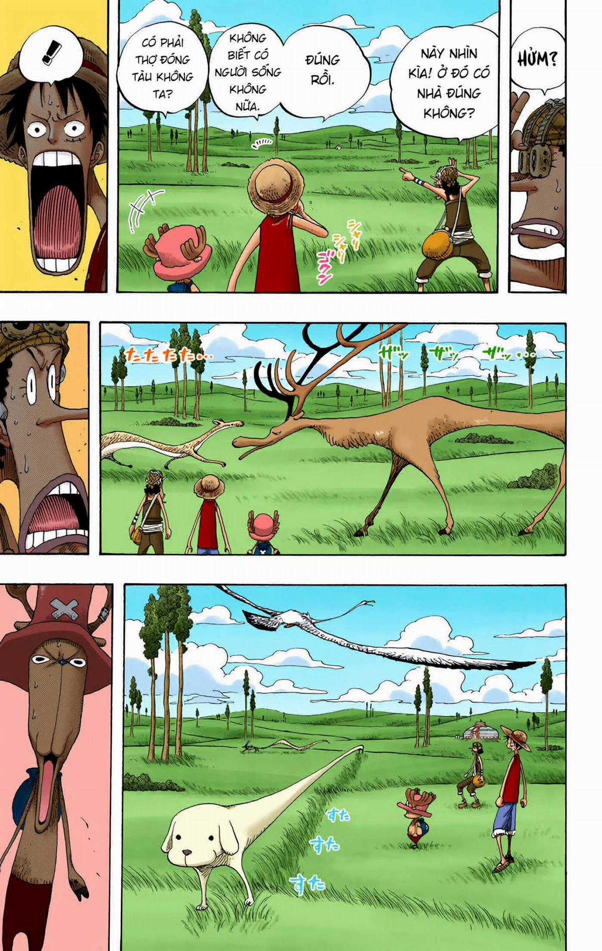 One Piece Color - Chapter 304 - Trang 13