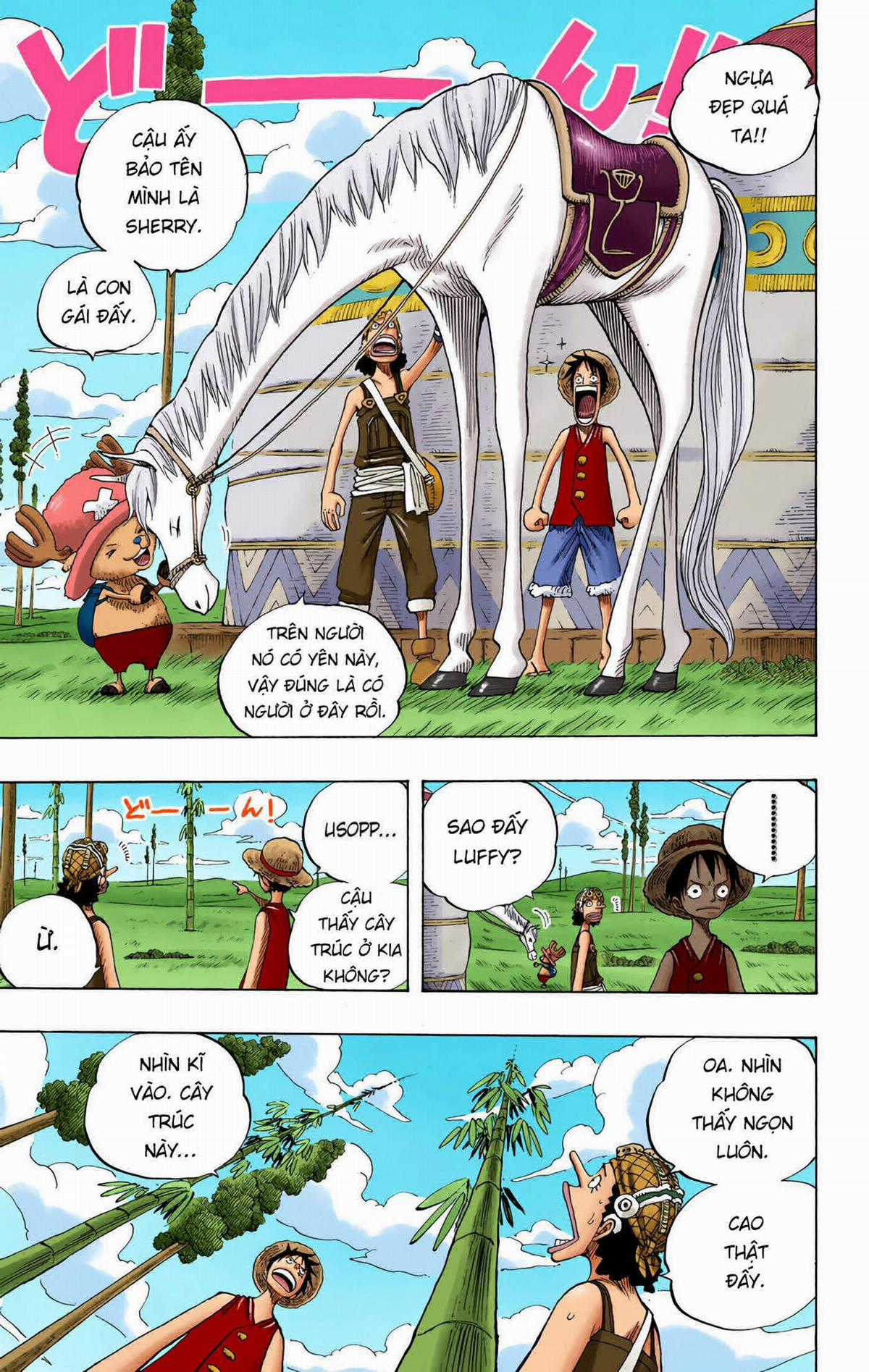 One Piece Color - Chapter 304 - Trang 15