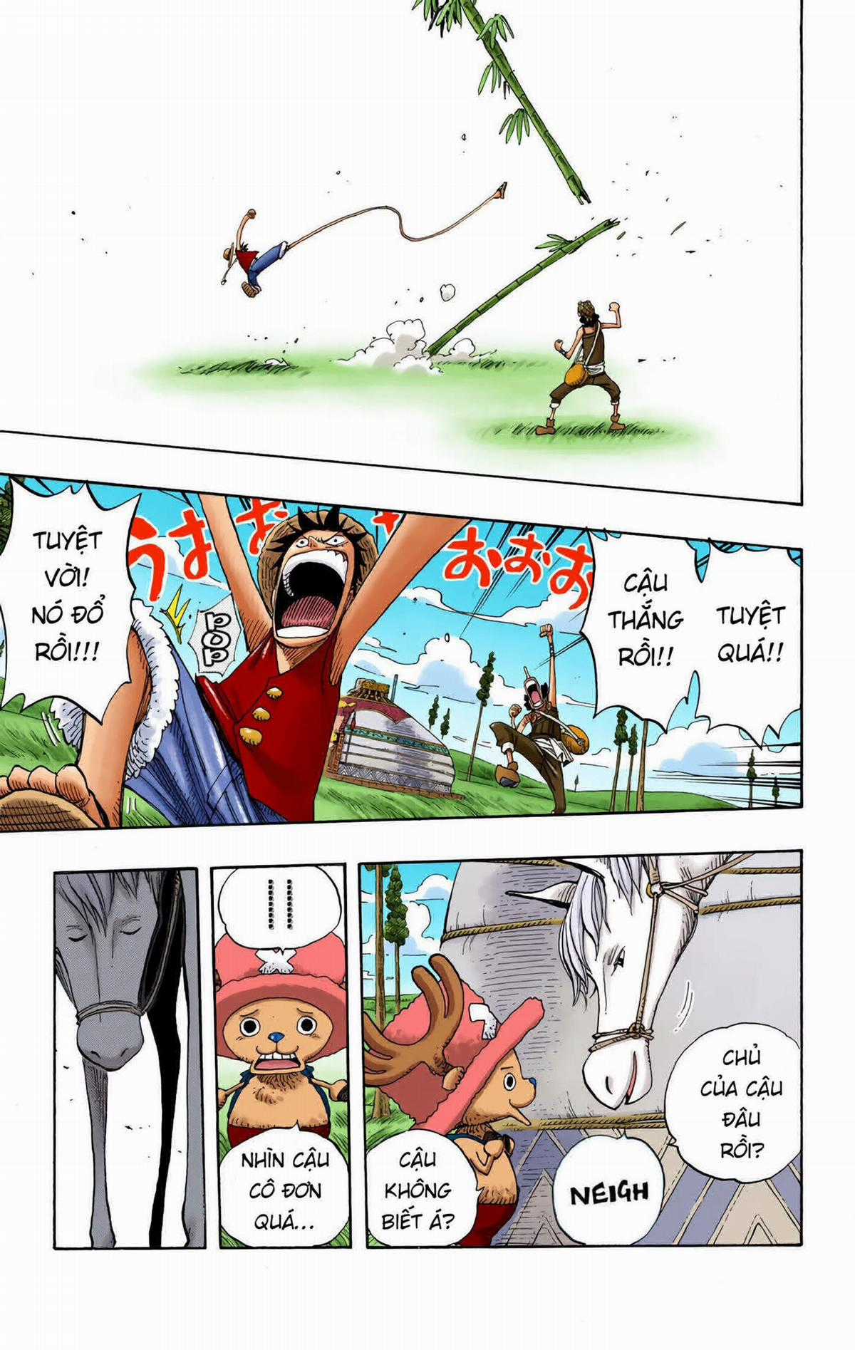 One Piece Color - Chapter 304 - Trang 17