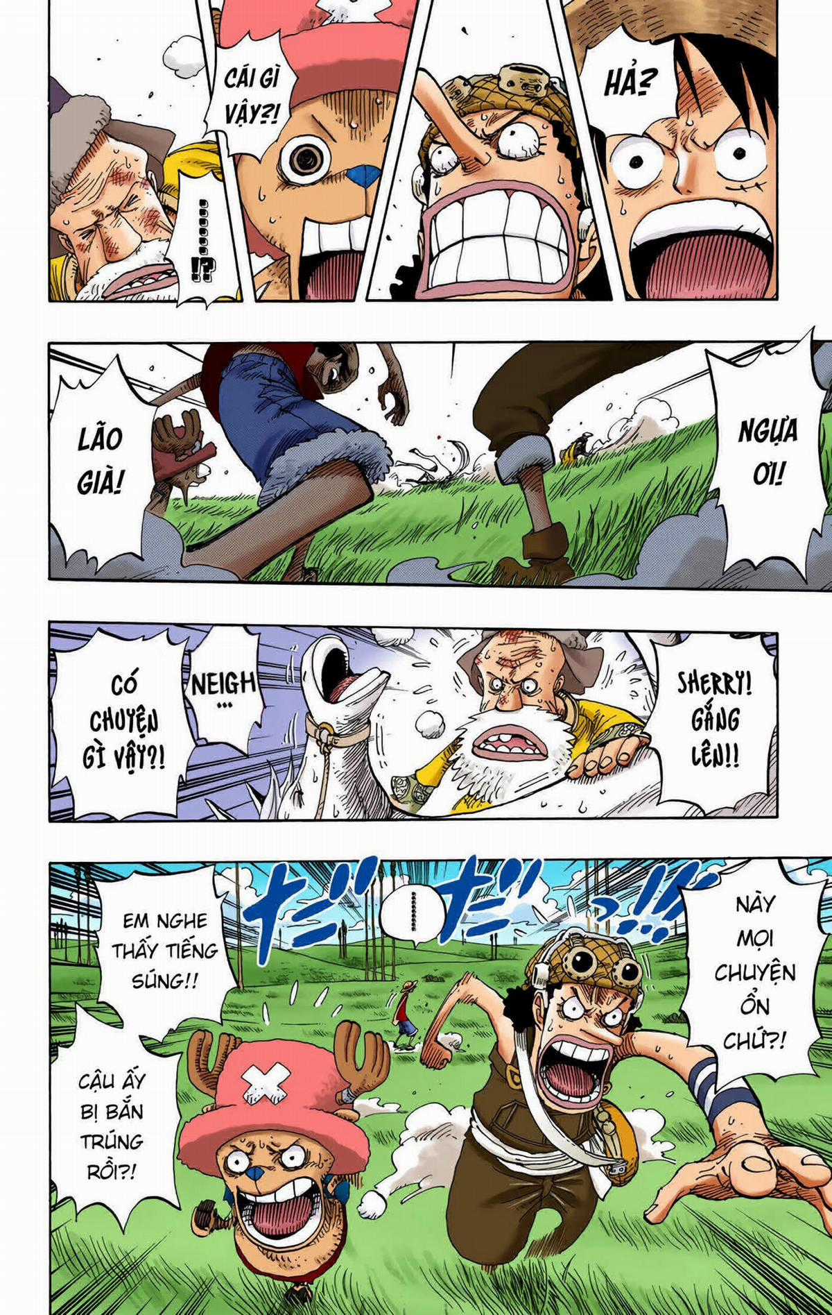 One Piece Color - Chapter 305 - Trang 14