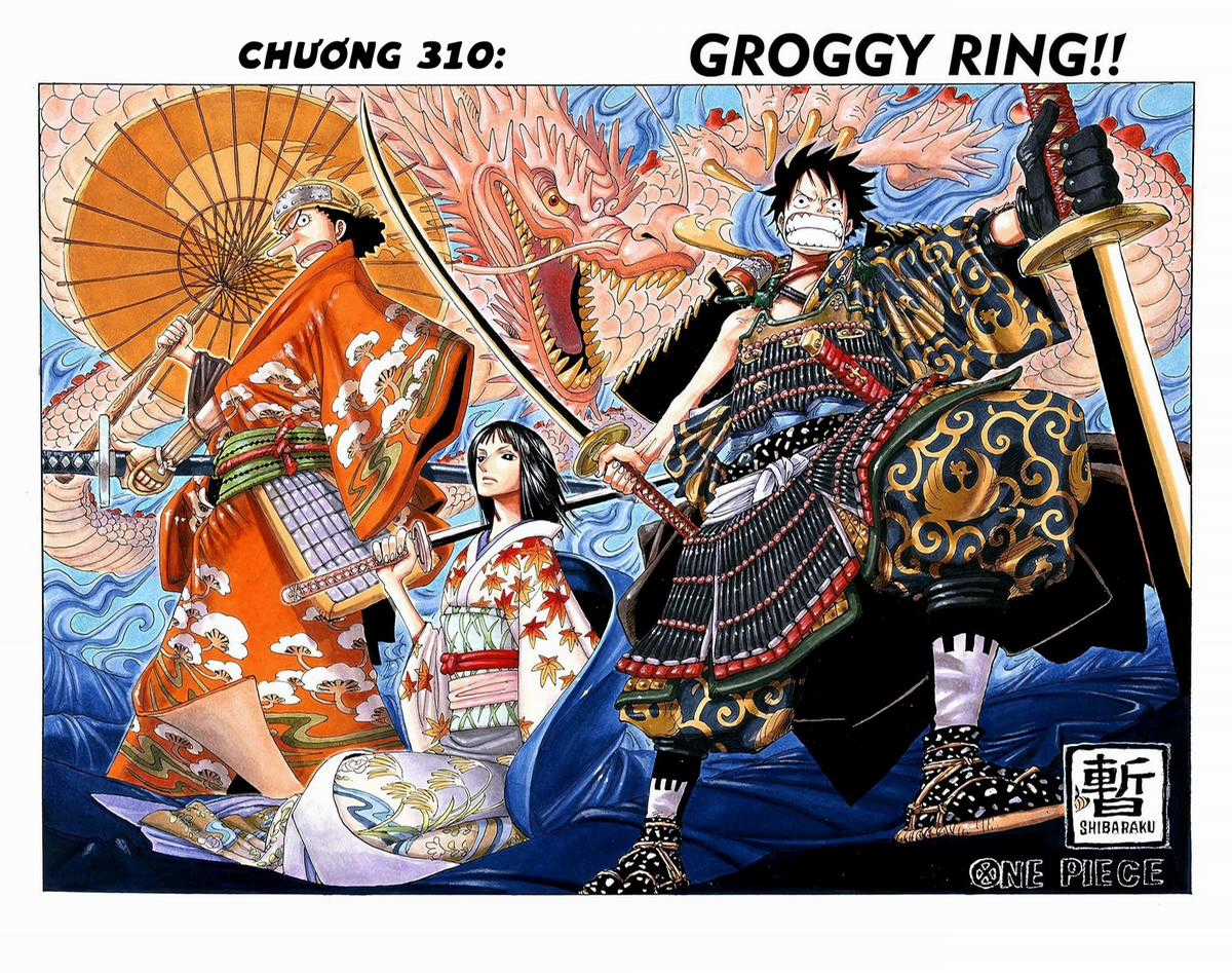 One Piece Color - Chapter 310 - Trang 1