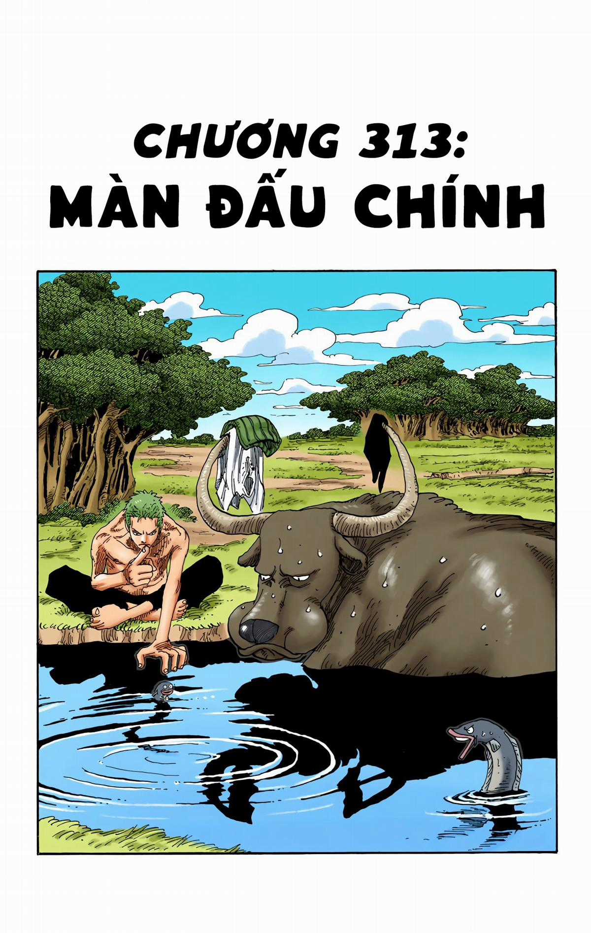 One Piece Color - Chapter 313 - Trang 1