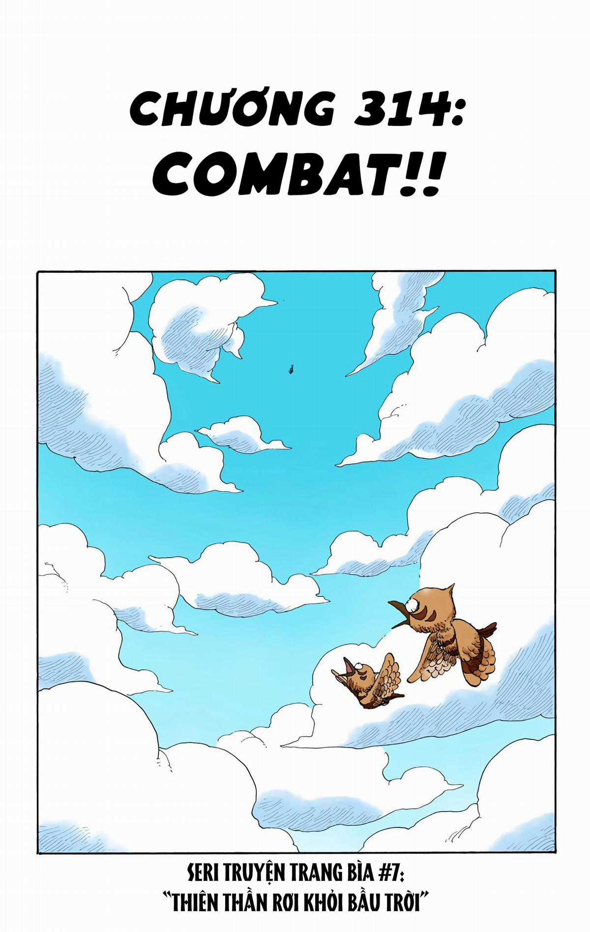 One Piece Color - Chapter 314 - Trang 1